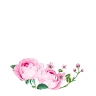 A&M Blumen