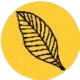 Amaltaas store