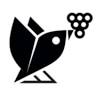Amarone Wine Tours