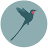 Amazilia Bioreserva