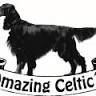 Amazing Celtics