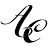 Ambassador Capital Limousine Service Inc.