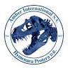 Amber International