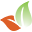 Amber Leaf Landscaping