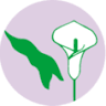 Ambiente Blumen OHG
