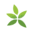 Ambius Rentokil Initial PTY Ltd.
