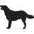 Animal Medical Center