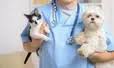 Animal Medical Center of Roane County