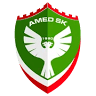 Amed Store