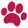 American Animal Hospital