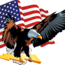 American Electric Inc