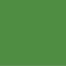 American Printing Company