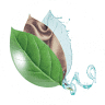 The Natural Laundry by Amersham Dry Cleaners
