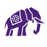 Amethyst Surveys Ltd