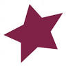 American Millennium Insurance Company