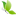 Amma Fisioterapia