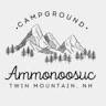 Ammonoosuc Campground