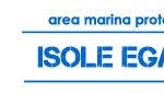Centro di Recupero per Tartarughe Marine Favignana
