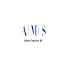 AMS Auditores Consultores SpA