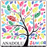 Schulbuchverlag Anadolu GmbH & Anadolu Junior