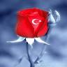 Gufran Çetinel Anadolu Mermer