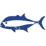 Andaman Angler