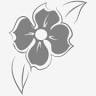 Anderson Funeral Homes Inc