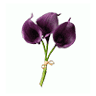 Anderson - TeBeest Funeral Home