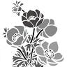 Anemonen Apotheke