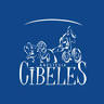 Anestesia Cibeles