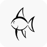 Kingfisher Aquatics Ltd