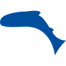 Angelgeräte Leydecker