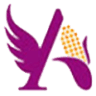ANGEL STARCH & FOOD PVT LTD