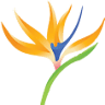 Angie Ray Ministries