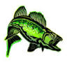 Angler Pro - La Mariu's