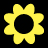 Angolo dei Fiori - Fiori online