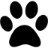 Kikuchi Animal Clinic