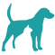 Animal Adoption Agency