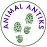 Animal Antiks