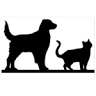 Animal Care Hospital