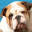 Hospital Veterinario Animal Home Coapa 24 horas