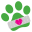 Animal Medical Center Of Kansas City