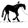 Animal Welfare League