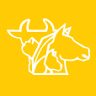 Dierenartsenpraktijk Animo