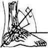Ankle & Foot Associates - Tampa FL