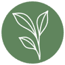 Wahlarztordination Dr.med. Anna Maschke Allgemeinmedizin und Phytotherapie
