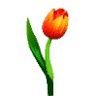 Annemieke's Pluktuin