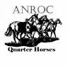 Anroc Quarter Horse Stud