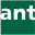 ant Umzüge