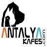 Antalya Kafes